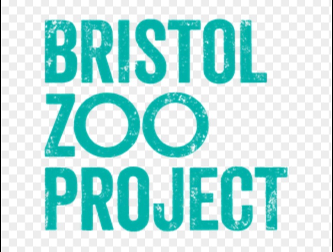 Year 1 to Bristol Zoo