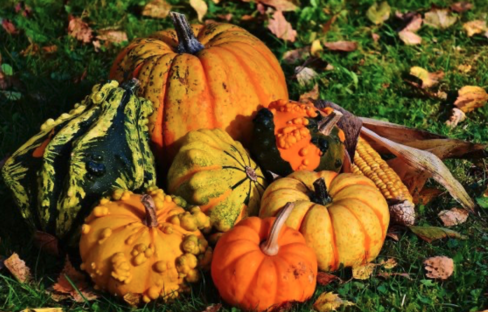 Harvest Festival